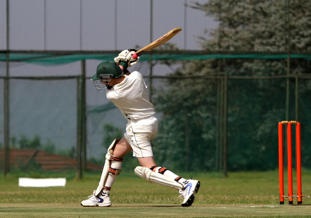 Cricket-Junge fährt Ball - Foto, Bild