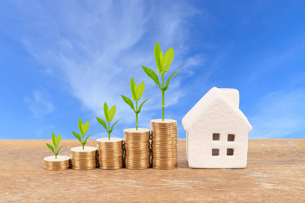 Maison modèle et pile de pièces avec arbre sur fond bleu ciel concept d'économie hypothécaire
 - Photo, image
