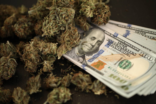 Kannabiksen liikeidea. Lääketieteellinen marihuana ja rahaa
 - Valokuva, kuva