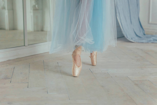 Kädet ballerina sininen tutu hame laittaa osoitin kengät jalka valkoinen valo sali. Nuori klassinen baletti tanssija nainen tanssitunneilla
 - Valokuva, kuva