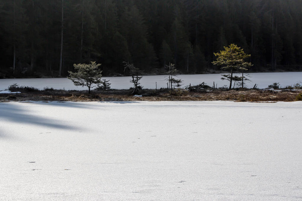 Winter landscape at the small Arbersee in Bavaria - Foto, Imagen