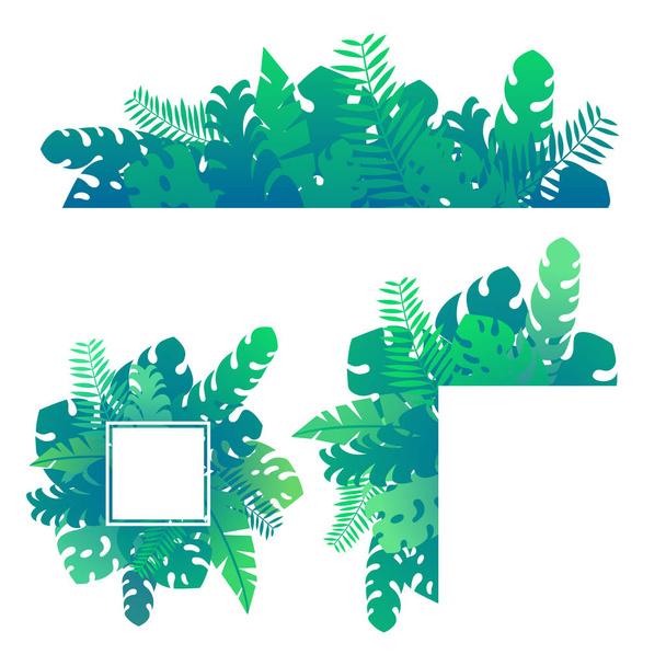 Набор тропических экзотических джунглей зеленые листья и растения шаблон карты изолированы на белом фоне
 - Вектор,изображение