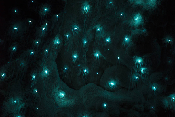το glowworms σε σπηλιές waitomo - Φωτογραφία, εικόνα