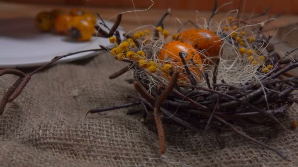 Hand putting quail eggs in easter nest - Filmati, video