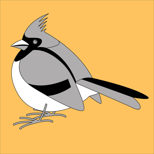 cardinal bird,vector illustration,lining draw , profile  - Vector, Image
