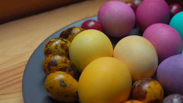 Womans hand puts red and green colored quail egg - Video