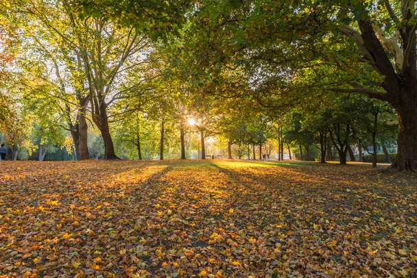 Derniers rayons de soleil en automne à Ratisbonne, Allemagne
 - Photo, image
