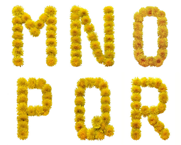 Γραμμάτων της αγγλικής αλφαβήτου συλλέγονται από λουλούδια σε κίτρινο χαμομήλι. Απομονωμένα σε λευκό φόντο - Φωτογραφία, εικόνα