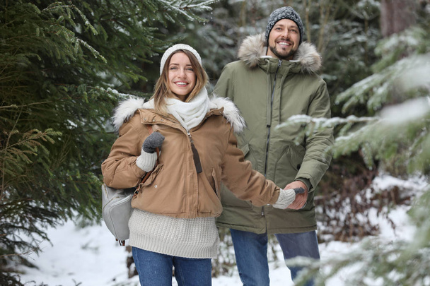 Couple in conifer forest on snowy day. Winter vacation - Foto, Imagem