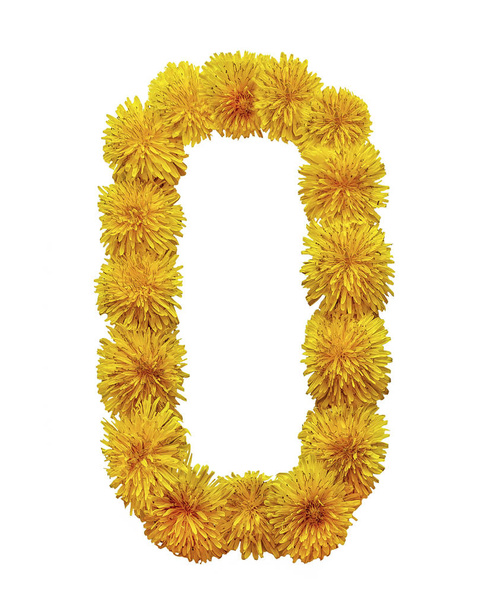 De letter van het Engelse alfabet is verzameld uit de bloemen van gele kamille. Geïsoleerd op witte achtergrond. - Foto, afbeelding