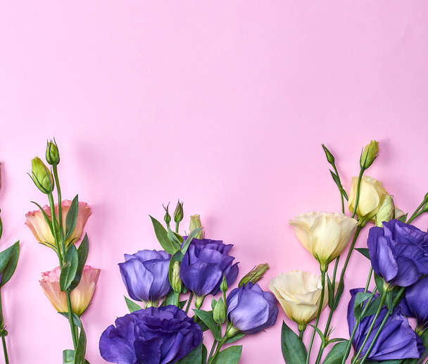 tuoreet kukkivat kukat Eustoma Lisianthus vaaleanpunaisella paperilla tausta, kopioi tilaa
  - Valokuva, kuva
