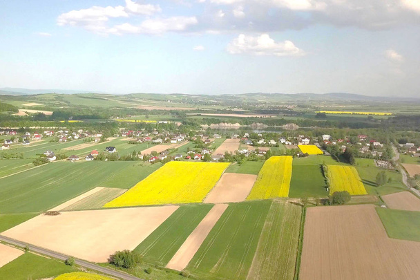 Rapeseed fields from the height of bird flight. Shooting from the drone or aircraft. Agricultural business. Growing oil plants for alternative ecological fuels for cars. Flowering plants and future. - Photo, Image