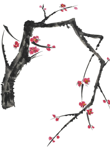A branch of a blossoming sakura. Pink and red stylized flowers of plum mei and  wild cherry . Watercolor and ink illustration of tree in style sumi-e, go-hua,  u-sin. Oriental traditional painting. - Foto, Bild