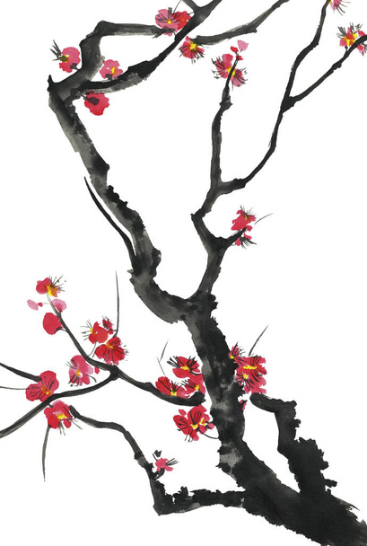A branch of a blossoming sakura. Pink and red stylized flowers of plum mei and  wild cherry . Watercolor and ink illustration of tree in style sumi-e, go-hua,  u-sin. Oriental traditional painting. - Photo, Image