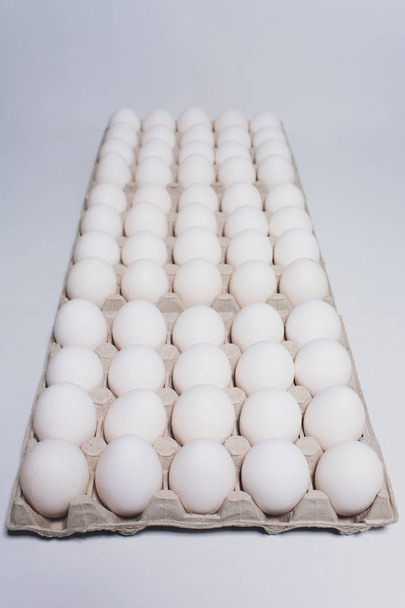 White eggs of a hen in harmless, cardboard packing on a white background. - Фото, изображение