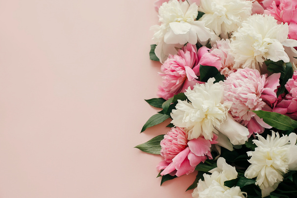 rosa und weiße Pfingstrosen auf pastellrosa Papier mit Platz für Text. Hallo Frühling. glücklicher Muttertag, florale Grußkarten-Attrappe. Weltfrauentag. stylisches Girly-Image - Foto, Bild