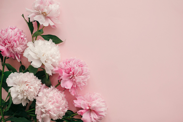 Internationale dag van de Womens. Stijlvolle pioenrozen plat leggen. Roze en witte pioenrozen grens op pastel roze papier met ruimte voor tekst. Happy mothers day, floral wenskaart mockup. Valentijnsdag. - Foto, afbeelding