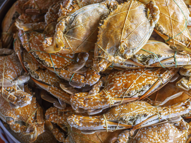 Jumbo steamed crab Being stacked ready to eat.soft focus. - Photo, Image