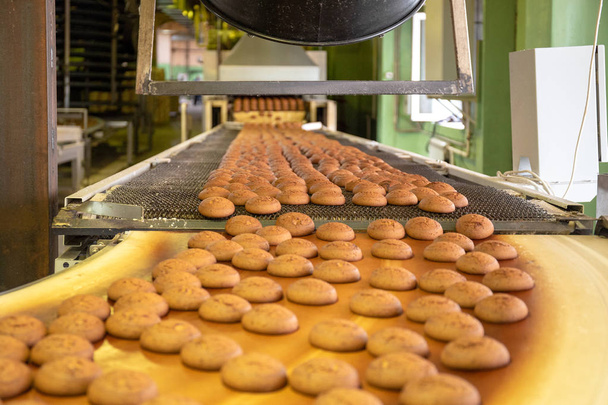 Bäckereiproduktionslinie oder mit frischen süßen Keksen am Band. Maschinen in der Werkstatt der Süßwarenfabrik, industrielle Nahrungsmittelproduktion - Foto, Bild