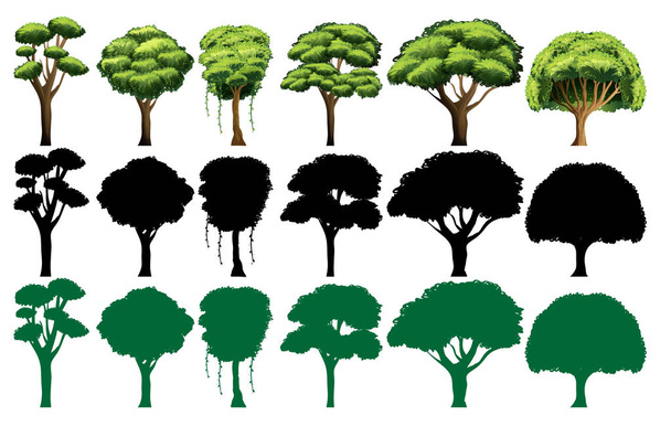 Набор различных иллюстраций дерева - Вектор,изображение