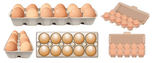 Σύνολο των αυγών σε διαφορετικές γωνίες εικονογράφηση - Διάνυσμα, εικόνα