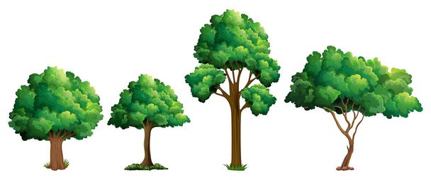 Ensemble de différentes illustrations de conception d'arbres - Vecteur, image