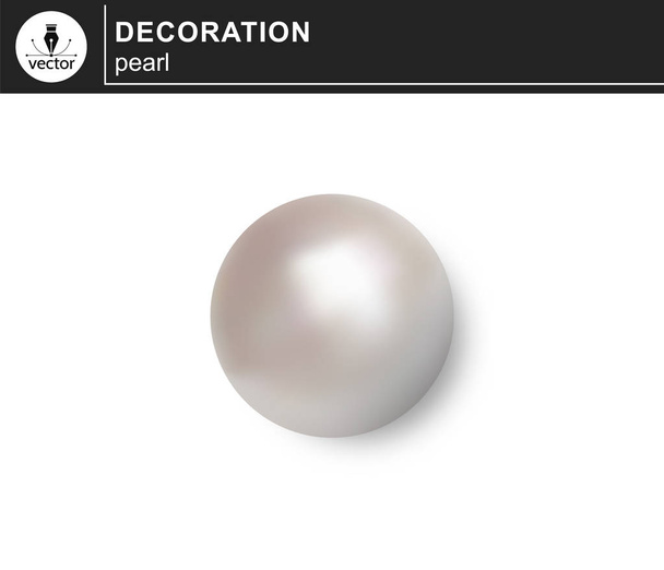 Pearl isolated on white background. Vector - Vector, Image