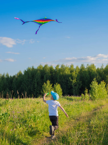 happy boy with a kite running in a meadow in summer in nature. Summer children's holidays. - Foto, afbeelding