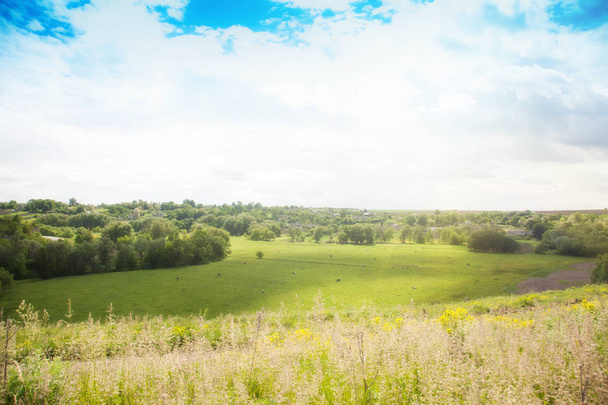 Krásné letní krajina, oblohy a zelené trávy, pohled shora. - Fotografie, Obrázek