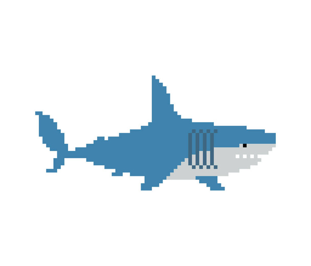 Καρχαρίας pixel art. Θαλάσσιο αρπακτικό 8 bit. Γραφικά παλιά παιχνίδι - Διάνυσμα, εικόνα
