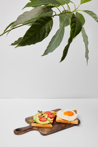 selective focus of wooden cutting board with toasts and scrambled egg under green plant on grey background - Photo, Image