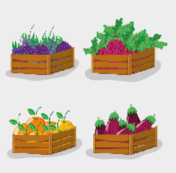 Набор натуральных фруктов пикселированные мультипликационные векторные иллюстрации графический дизайн
 - Вектор,изображение