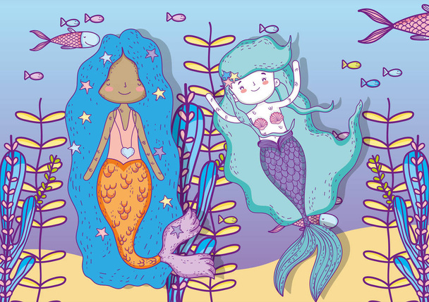 mermaids women underwater with plants and fishes vector illustration - Vector, Image