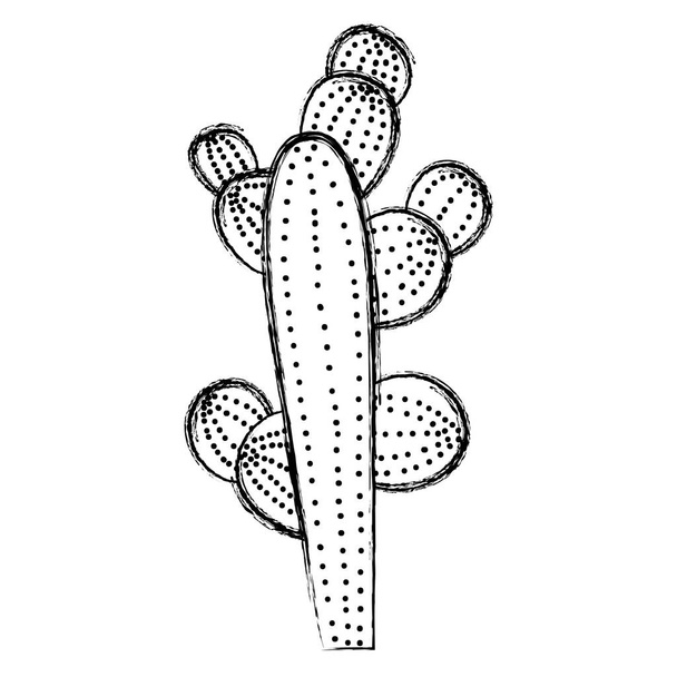 grunge botany cactus desert nature plant vector illustration - Vector, Image