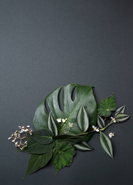 Σύνθεση με φρέσκα τροπικά φύλλα σε γκρίζο φόντο - Φωτογραφία, εικόνα