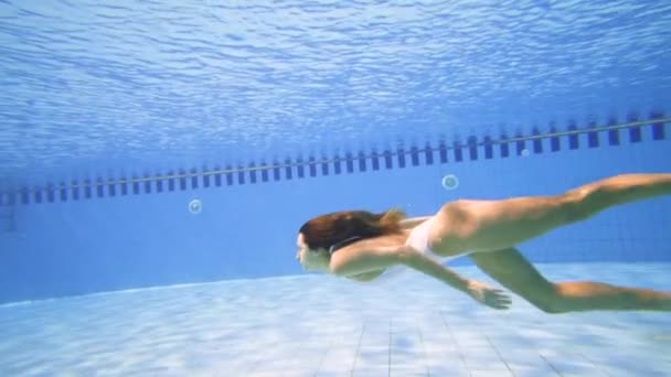 Sexy vrouw in witte bikini duiken in het zwembad op een zonnige dag - Video