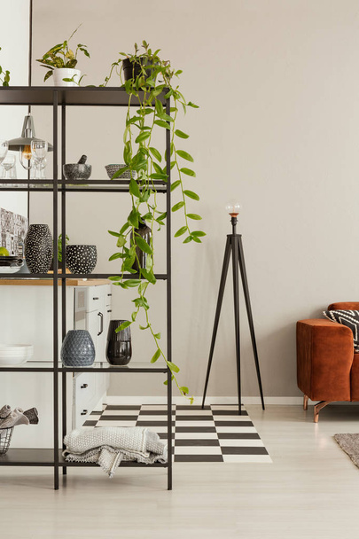 Vases and green plants in pots on industrial shelf in grey living room interior - Fotó, kép