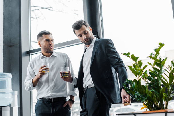 businessman standing with hand in pocket and holding glass of whiskey near coworker with cuban cigar - Фото, зображення