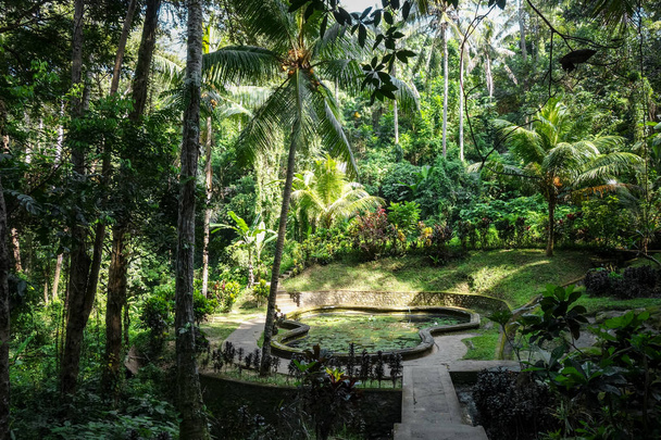 Pond and jungle in Goa Gajah elephant cave temple, Bedulu, Ubud, Bali, Indonesia - Fotó, kép