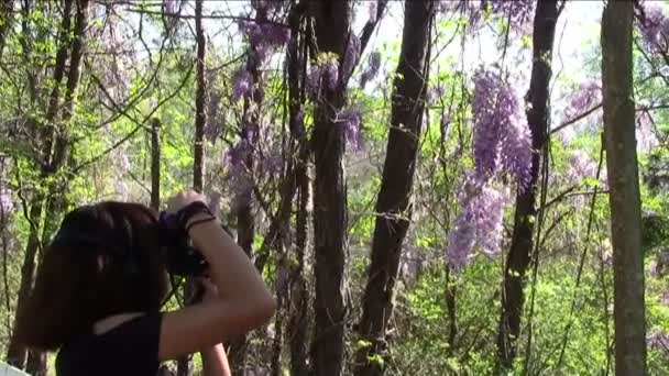 φωτογραφίζοντας την lilaca - Πλάνα, βίντεο
