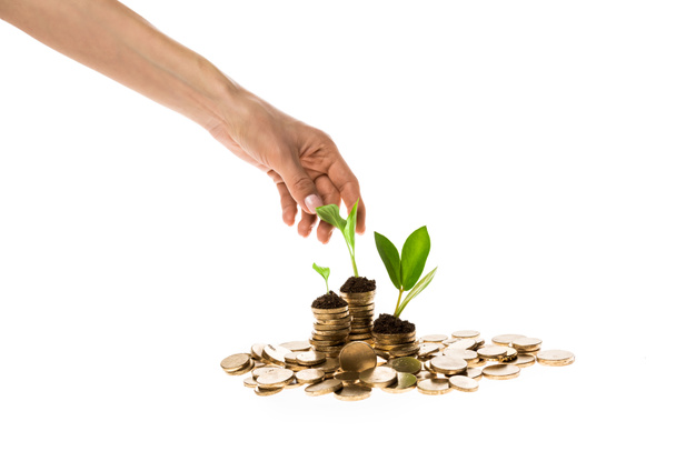 cropped view of woman touching green leaves on top of golden coins isolated on white - Photo, Image