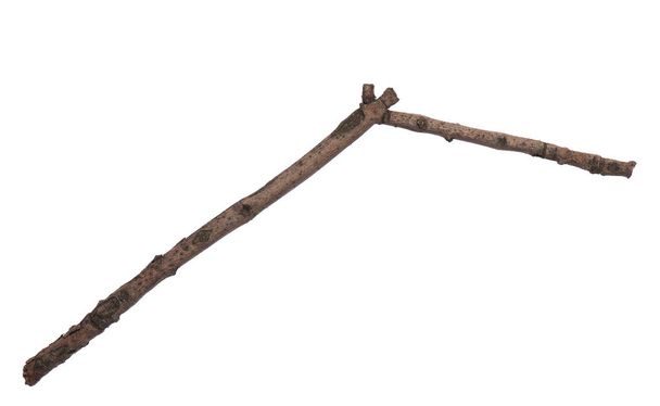 Single dry tree branch, isolated on white background. Stick tree branch from nature for design. - Photo, Image