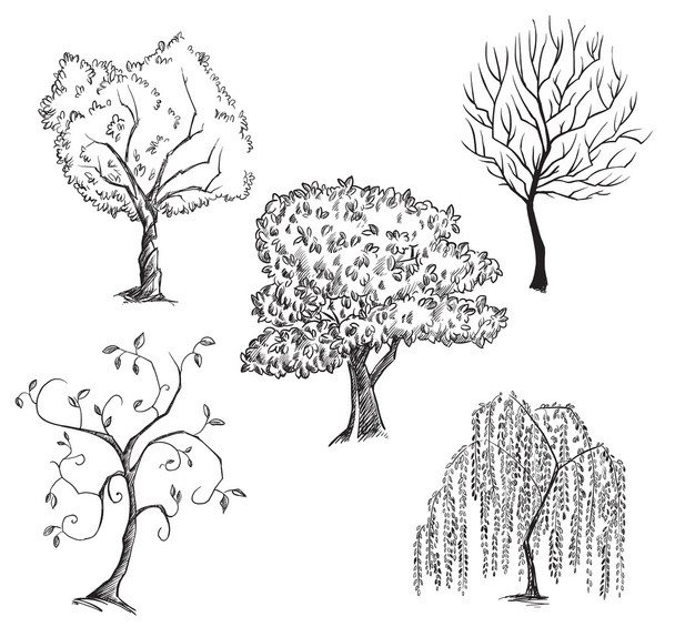 Vektorové kolekce stromů - Vektor, obrázek