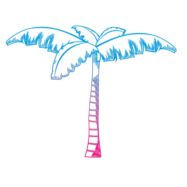 degraded line tropical palm tree with natural design vector illustration - Vector, Image