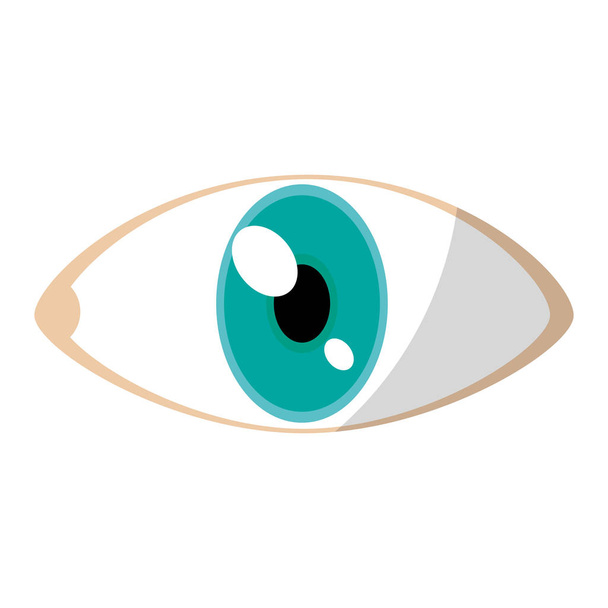 ojo anatomía humana visión diseño vector ilustración
 - Vector, imagen