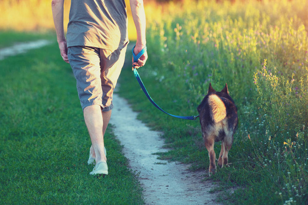 Um homem a passear com um cão no campo ao pôr-do-sol. O homem que segura o cão com uma trela
 - Foto, Imagem