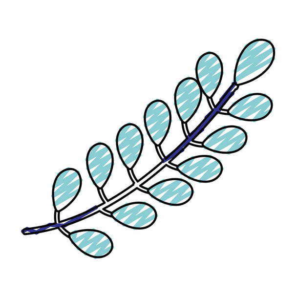 Doodle natuur bladeren takken tropische ontwerp vectorillustratie - Vector, afbeelding