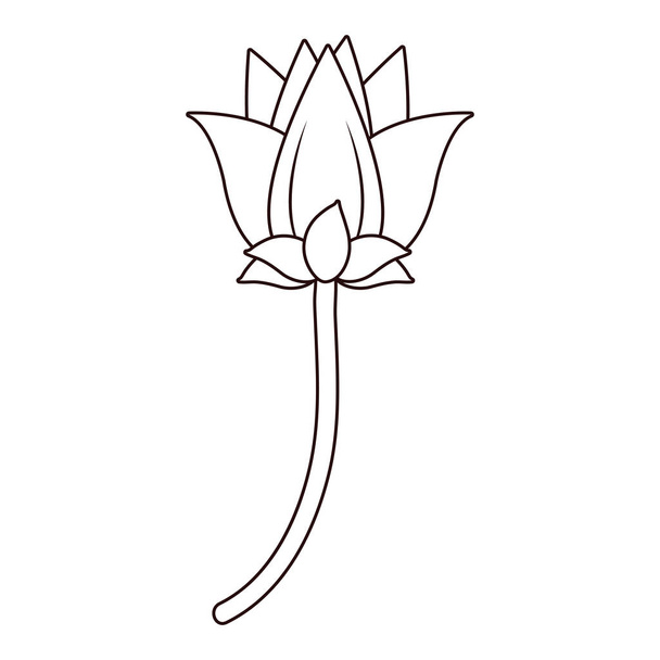 line nice flower with nature petals and leaves vector illustration - Vektor, obrázek