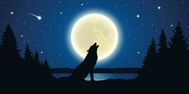lobo uiva para a lua cheia em uma noite estrelada
 - Vetor, Imagem