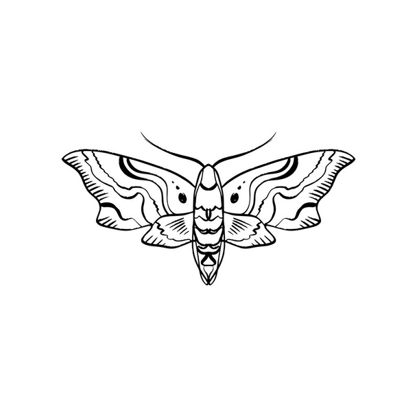 Contour of hawk moth. Antistress coloring. Butterfly line sketch, good for apps and web icons - Vector, Image